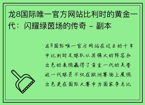 龙8国际唯一官方网站比利时的黄金一代：闪耀绿茵场的传奇 - 副本